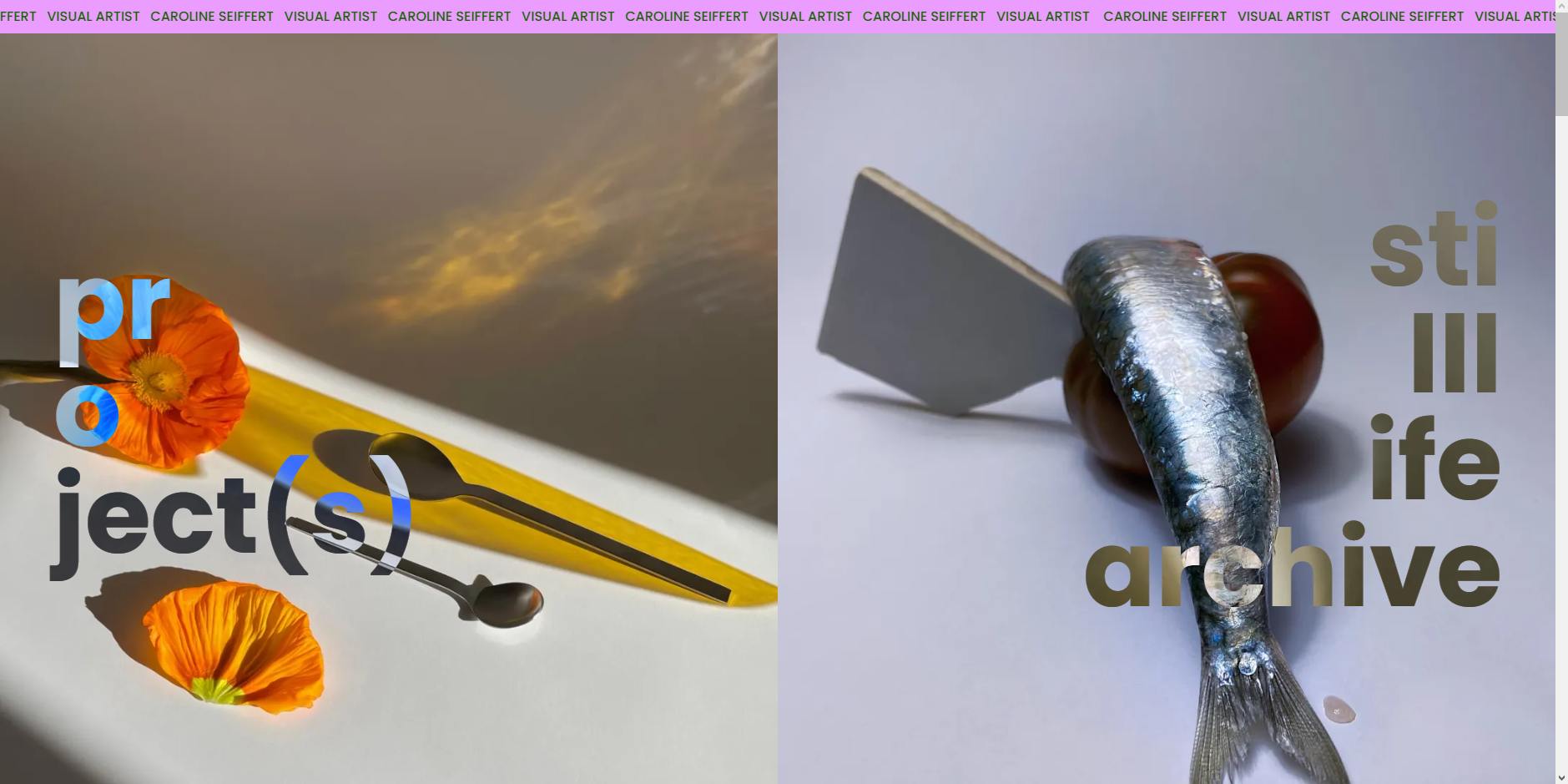 projectImages